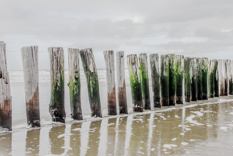 A row of beach poles Strand Zee Maritiem