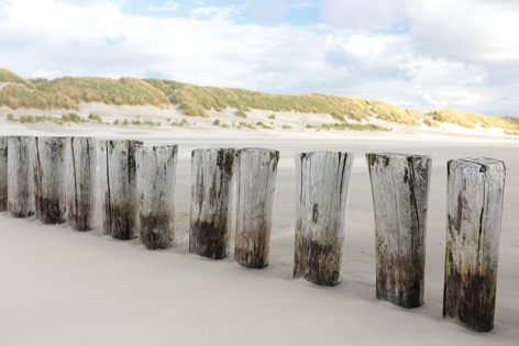 Duinen Strand Strandpalen