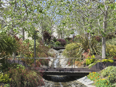 Tuin Beek Water Bomen