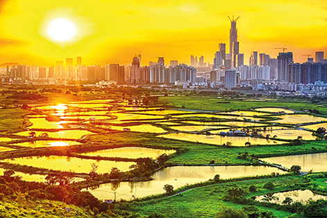 Hong kong countryside sunset, rice field and modern office buildings Skyline Stad Wolkenkrabbers