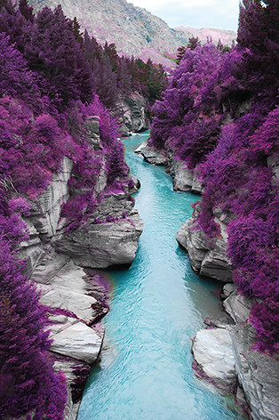 Landscape purple pine forest Water Rivier Bos Landschap Bergen