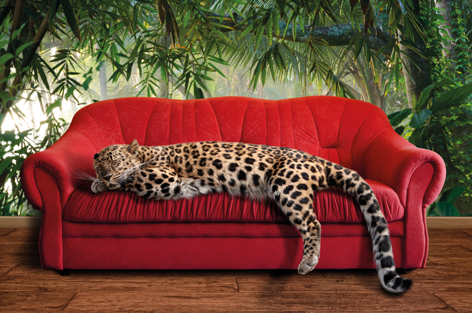 1100271 MATDIB1365 AluArt MA, Leopard on red couch