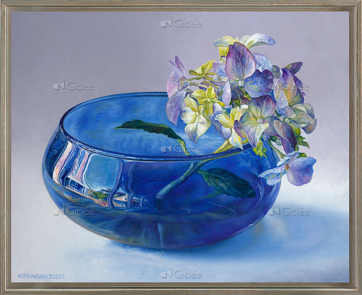 Hortensia in blauw glas